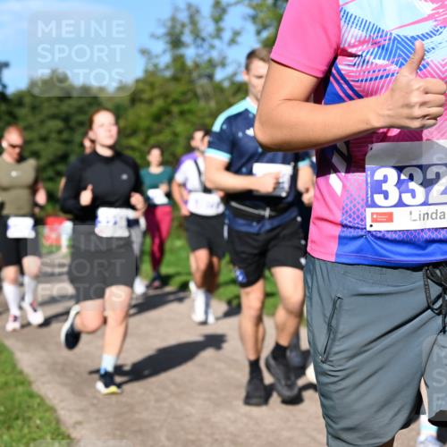 27.09.2026 - 35. Volkslauf durch das schöne Alstertal Dr. Thomas Lammeyer http://msf.ph/oto/10565039 27.09.2026 10:36:45 Laufen 3328 meine-sportfotos.de