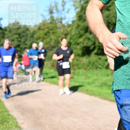 27.09.2026 - 35. Volkslauf durch das schöne Alstertal Dr. Thomas Lammeyer http://msf.ph/oto/10565080 27.09.2026 10:36:51 Laufen  meine-sportfotos.de
