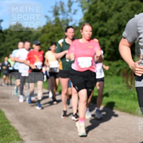 27.09.2026 - 35. Volkslauf durch das schöne Alstertal Dr. Thomas Lammeyer http://msf.ph/oto/10565136 27.09.2026 10:36:58 Laufen  meine-sportfotos.de