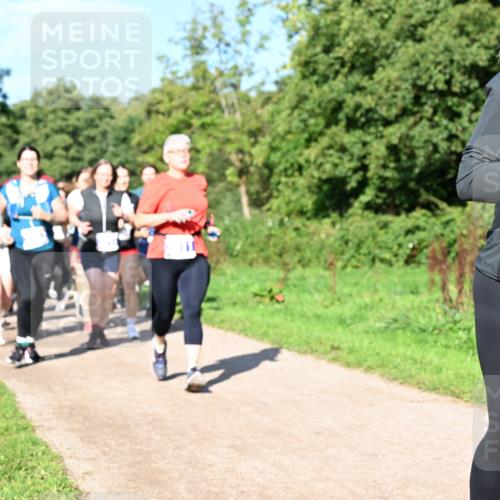 27.09.2026 - 35. Volkslauf durch das schöne Alstertal Dr. Thomas Lammeyer http://msf.ph/oto/10565206 27.09.2026 10:37:06 Laufen 3082 meine-sportfotos.de