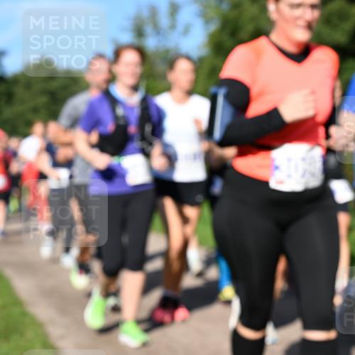 27.09.2026 - 35. Volkslauf durch das schöne Alstertal Dr. Thomas Lammeyer http://msf.ph/oto/10565288 27.09.2026 10:37:15 Laufen  meine-sportfotos.de