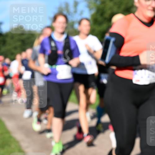 27.09.2026 - 35. Volkslauf durch das schöne Alstertal Dr. Thomas Lammeyer http://msf.ph/oto/10565289 27.09.2026 10:37:16 Laufen  meine-sportfotos.de