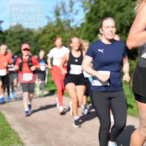 27.09.2026 - 35. Volkslauf durch das schöne Alstertal Dr. Thomas Lammeyer http://msf.ph/oto/10565312 27.09.2026 10:37:18 Laufen 310 meine-sportfotos.de