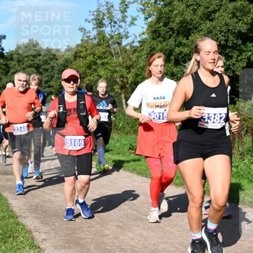 27.09.2026 - 35. Volkslauf durch das schöne Alstertal Dr. Thomas Lammeyer http://msf.ph/oto/10565320 27.09.2026 10:37:19 Laufen 253, 015, 3248, 3169, 3382, 338 meine-sportfotos.de
