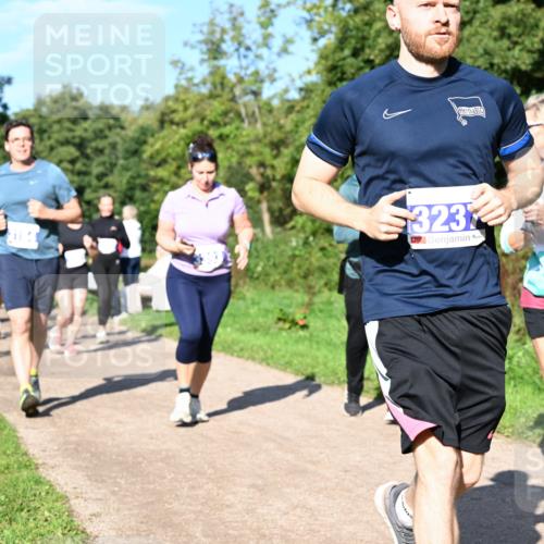 27.09.2026 - 35. Volkslauf durch das schöne Alstertal Dr. Thomas Lammeyer http://msf.ph/oto/10565359 27.09.2026 10:37:23 Laufen 323 meine-sportfotos.de