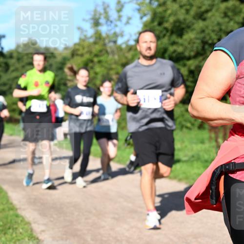 27.09.2026 - 35. Volkslauf durch das schöne Alstertal Dr. Thomas Lammeyer http://msf.ph/oto/10565412 27.09.2026 10:37:29 Laufen  meine-sportfotos.de