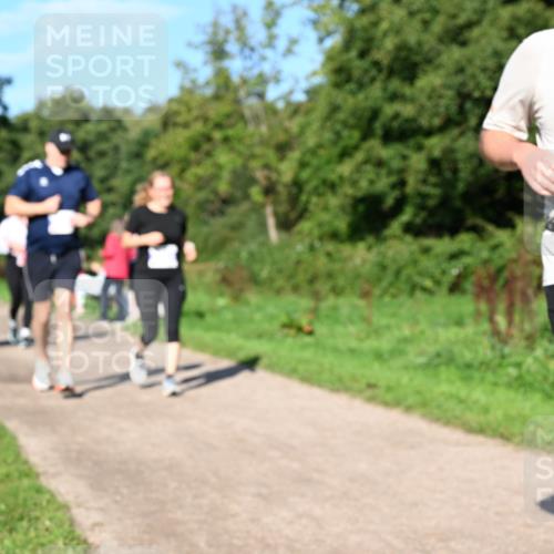 27.09.2026 - 35. Volkslauf durch das schöne Alstertal Dr. Thomas Lammeyer http://msf.ph/oto/10565477 27.09.2026 10:37:36 Laufen  meine-sportfotos.de