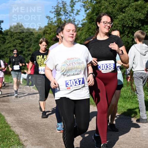 27.09.2026 - 35. Volkslauf durch das schöne Alstertal Dr. Thomas Lammeyer http://msf.ph/oto/10565587 27.09.2026 10:37:48 Laufen 33, 3037, 3038 meine-sportfotos.de