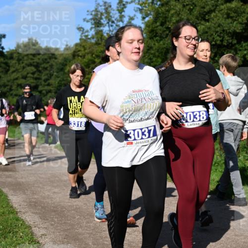 27.09.2026 - 35. Volkslauf durch das schöne Alstertal Dr. Thomas Lammeyer http://msf.ph/oto/10565588 27.09.2026 10:37:48 Laufen 3318, 3037, 3038 meine-sportfotos.de