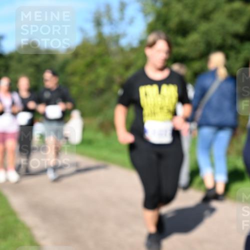 27.09.2026 - 35. Volkslauf durch das schöne Alstertal Dr. Thomas Lammeyer http://msf.ph/oto/10565602 27.09.2026 10:37:50 Laufen  meine-sportfotos.de