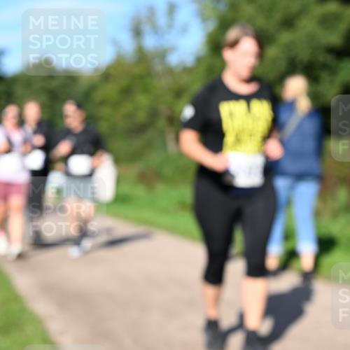 27.09.2026 - 35. Volkslauf durch das schöne Alstertal Dr. Thomas Lammeyer http://msf.ph/oto/10565603 27.09.2026 10:37:50 Laufen  meine-sportfotos.de