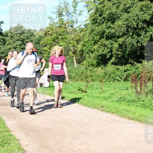27.09.2026 - 35. Volkslauf durch das schöne Alstertal Dr. Thomas Lammeyer http://msf.ph/oto/10565731 27.09.2026 10:38:08 Laufen 3074, 3108, 3156, 3218 meine-sportfotos.de