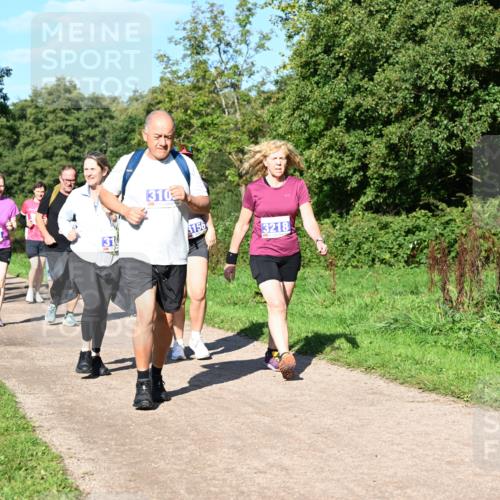 27.09.2026 - 35. Volkslauf durch das schöne Alstertal Dr. Thomas Lammeyer http://msf.ph/oto/10565740 27.09.2026 10:38:09 Laufen 3074, 310, 3156, 3218 meine-sportfotos.de