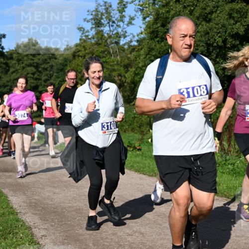 27.09.2026 - 35. Volkslauf durch das schöne Alstertal Dr. Thomas Lammeyer http://msf.ph/oto/10565758 27.09.2026 10:38:11 Laufen 3074, 306, 30, 3101, 3108, 3218 meine-sportfotos.de