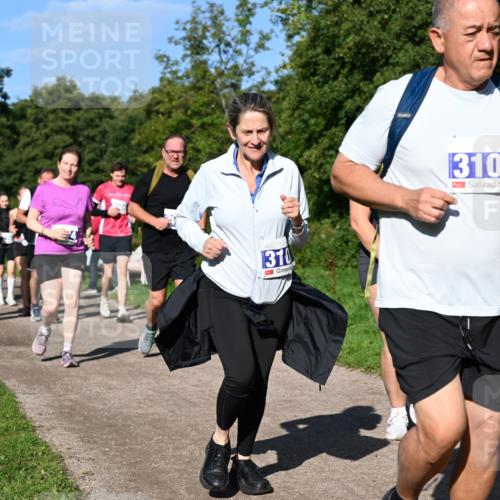 27.09.2026 - 35. Volkslauf durch das schöne Alstertal Dr. Thomas Lammeyer http://msf.ph/oto/10565762 27.09.2026 10:38:11 Laufen 310, 3108, 3218 meine-sportfotos.de