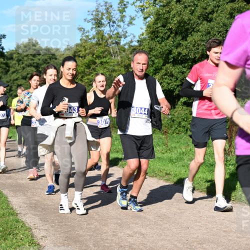 27.09.2026 - 35. Volkslauf durch das schöne Alstertal Dr. Thomas Lammeyer http://msf.ph/oto/10565800 27.09.2026 10:38:15 Laufen 3073, 43, 3076, 3044, 307 meine-sportfotos.de