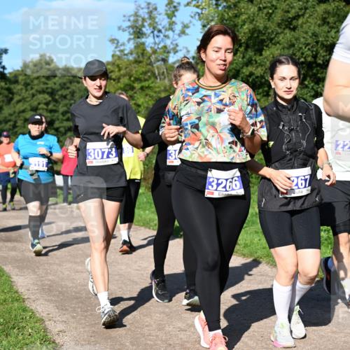 27.09.2026 - 35. Volkslauf durch das schöne Alstertal Dr. Thomas Lammeyer http://msf.ph/oto/10565829 27.09.2026 10:38:18 Laufen 1191, 3073, 68, 3266, 267, 221 meine-sportfotos.de
