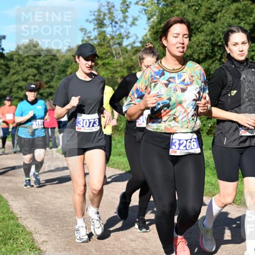 27.09.2026 - 35. Volkslauf durch das schöne Alstertal Dr. Thomas Lammeyer http://msf.ph/oto/10565831 27.09.2026 10:38:19 Laufen 3191, 3073, 3266, 2215 meine-sportfotos.de