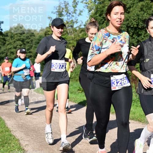 27.09.2026 - 35. Volkslauf durch das schöne Alstertal Dr. Thomas Lammeyer http://msf.ph/oto/10565832 27.09.2026 10:38:19 Laufen 3197, 3073, 3266, 3267, 2215 meine-sportfotos.de