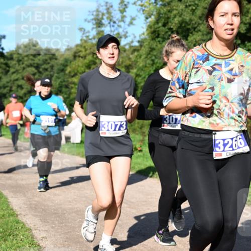27.09.2026 - 35. Volkslauf durch das schöne Alstertal Dr. Thomas Lammeyer http://msf.ph/oto/10565834 27.09.2026 10:38:19 Laufen 3073, 1307, 3266, 3267 meine-sportfotos.de