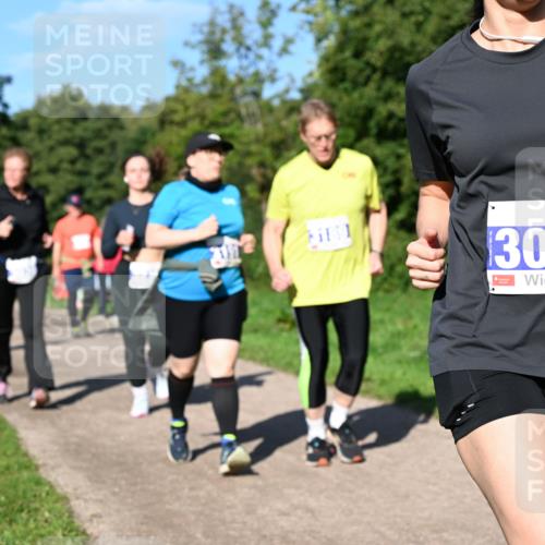 27.09.2026 - 35. Volkslauf durch das schöne Alstertal Dr. Thomas Lammeyer http://msf.ph/oto/10565844 27.09.2026 10:38:20 Laufen 3073 meine-sportfotos.de