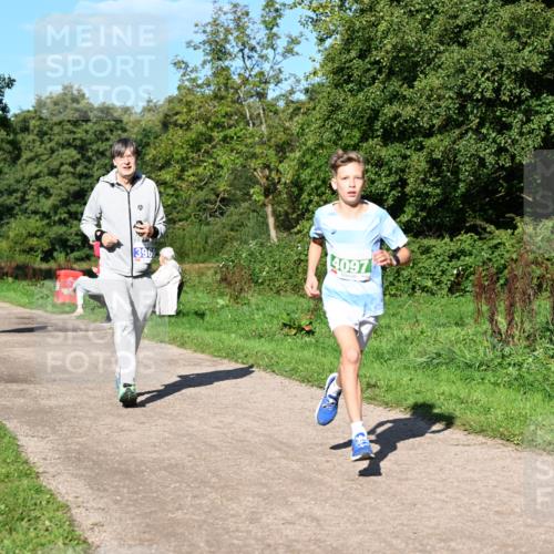 27.09.2026 - 35. Volkslauf durch das schöne Alstertal Dr. Thomas Lammeyer http://msf.ph/oto/10565932 27.09.2026 10:38:39 Laufen 3969, 4097 meine-sportfotos.de