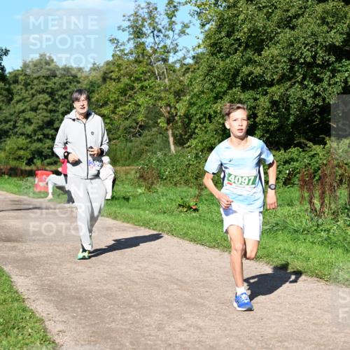 27.09.2026 - 35. Volkslauf durch das schöne Alstertal Dr. Thomas Lammeyer http://msf.ph/oto/10565934 27.09.2026 10:38:39 Laufen 4107, 4097 meine-sportfotos.de