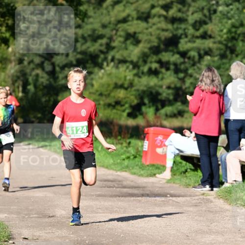 27.09.2026 - 35. Volkslauf durch das schöne Alstertal Dr. Thomas Lammeyer http://msf.ph/oto/10566021 27.09.2026 10:39:03 Laufen 4124 meine-sportfotos.de