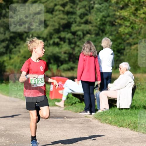 27.09.2026 - 35. Volkslauf durch das schöne Alstertal Dr. Thomas Lammeyer http://msf.ph/oto/10566027 27.09.2026 10:39:04 Laufen 4124 meine-sportfotos.de