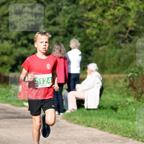 27.09.2026 - 35. Volkslauf durch das schöne Alstertal Dr. Thomas Lammeyer http://msf.ph/oto/10566033 27.09.2026 10:39:05 Laufen 4124 meine-sportfotos.de