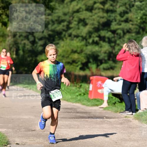 27.09.2026 - 35. Volkslauf durch das schöne Alstertal Dr. Thomas Lammeyer http://msf.ph/oto/10566039 27.09.2026 10:39:06 Laufen 082 meine-sportfotos.de