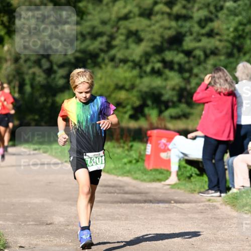 27.09.2026 - 35. Volkslauf durch das schöne Alstertal Dr. Thomas Lammeyer http://msf.ph/oto/10566040 27.09.2026 10:39:06 Laufen 1082 meine-sportfotos.de