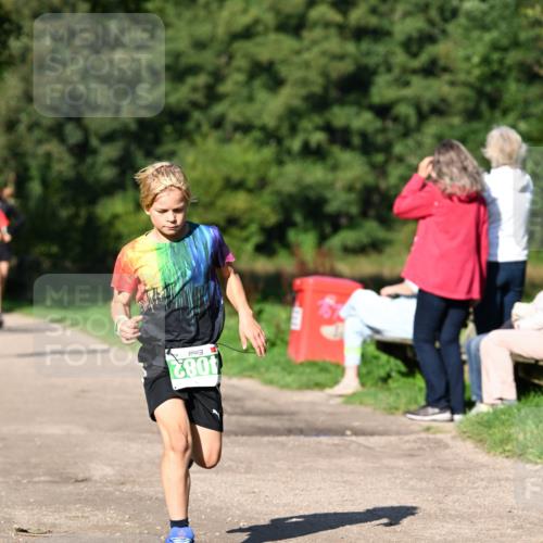 27.09.2026 - 35. Volkslauf durch das schöne Alstertal Dr. Thomas Lammeyer http://msf.ph/oto/10566042 27.09.2026 10:39:06 Laufen 4082 meine-sportfotos.de