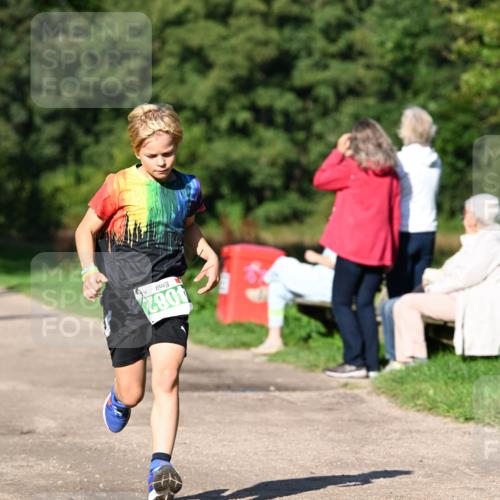 27.09.2026 - 35. Volkslauf durch das schöne Alstertal Dr. Thomas Lammeyer http://msf.ph/oto/10566044 27.09.2026 10:39:07 Laufen 4082 meine-sportfotos.de