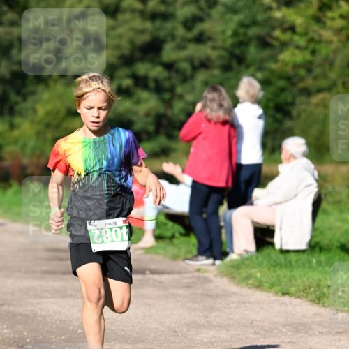27.09.2026 - 35. Volkslauf durch das schöne Alstertal Dr. Thomas Lammeyer http://msf.ph/oto/10566048 27.09.2026 10:39:07 Laufen 4082 meine-sportfotos.de