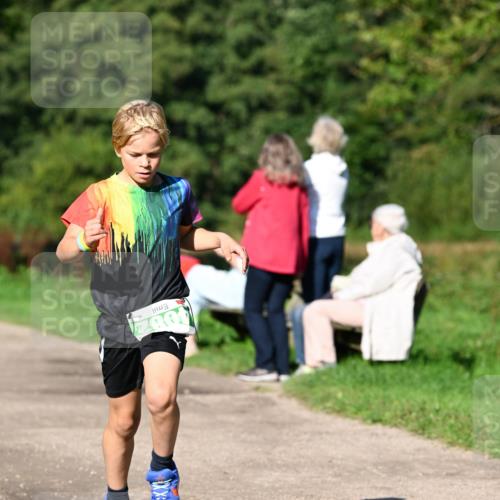 27.09.2026 - 35. Volkslauf durch das schöne Alstertal Dr. Thomas Lammeyer http://msf.ph/oto/10566049 27.09.2026 10:39:07 Laufen 4082 meine-sportfotos.de
