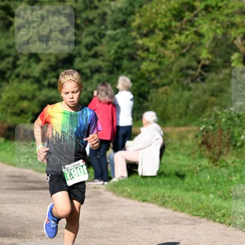 27.09.2026 - 35. Volkslauf durch das schöne Alstertal Dr. Thomas Lammeyer http://msf.ph/oto/10566051 27.09.2026 10:39:08 Laufen 4082 meine-sportfotos.de