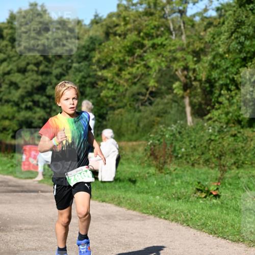 27.09.2026 - 35. Volkslauf durch das schöne Alstertal Dr. Thomas Lammeyer http://msf.ph/oto/10566055 27.09.2026 10:39:08 Laufen 4082 meine-sportfotos.de