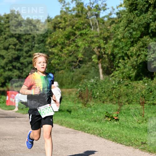 27.09.2026 - 35. Volkslauf durch das schöne Alstertal Dr. Thomas Lammeyer http://msf.ph/oto/10566056 27.09.2026 10:39:08 Laufen 4082 meine-sportfotos.de