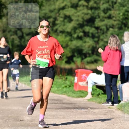 27.09.2026 - 35. Volkslauf durch das schöne Alstertal Dr. Thomas Lammeyer http://msf.ph/oto/10566071 27.09.2026 10:39:12 Laufen 336 meine-sportfotos.de