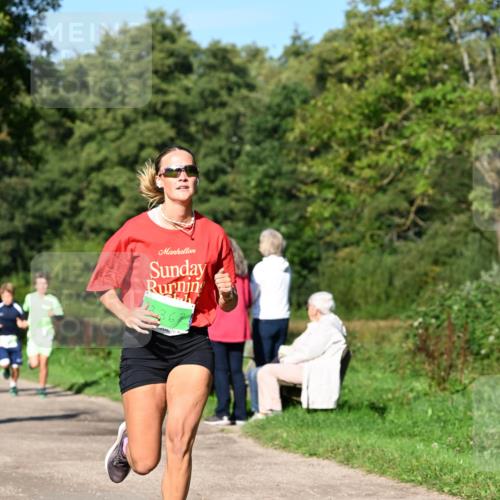 27.09.2026 - 35. Volkslauf durch das schöne Alstertal Dr. Thomas Lammeyer http://msf.ph/oto/10566083 27.09.2026 10:39:14 Laufen 12368 meine-sportfotos.de