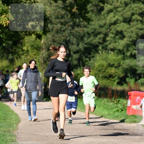 27.09.2026 - 35. Volkslauf durch das schöne Alstertal Dr. Thomas Lammeyer http://msf.ph/oto/10566087 27.09.2026 10:39:15 Laufen  meine-sportfotos.de