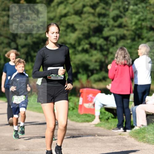 27.09.2026 - 35. Volkslauf durch das schöne Alstertal Dr. Thomas Lammeyer http://msf.ph/oto/10566101 27.09.2026 10:39:17 Laufen  meine-sportfotos.de