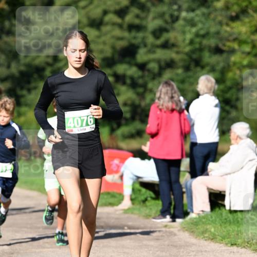 27.09.2026 - 35. Volkslauf durch das schöne Alstertal Dr. Thomas Lammeyer http://msf.ph/oto/10566104 27.09.2026 10:39:17 Laufen 4076 meine-sportfotos.de