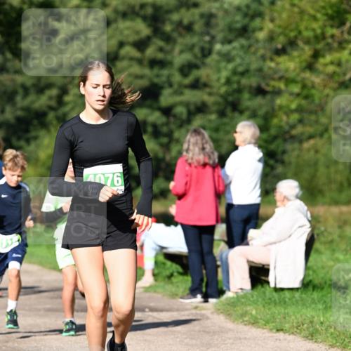 27.09.2026 - 35. Volkslauf durch das schöne Alstertal Dr. Thomas Lammeyer http://msf.ph/oto/10566107 27.09.2026 10:39:17 Laufen 940 meine-sportfotos.de
