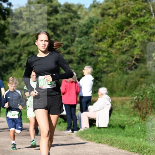 27.09.2026 - 35. Volkslauf durch das schöne Alstertal Dr. Thomas Lammeyer http://msf.ph/oto/10566112 27.09.2026 10:39:18 Laufen 40 meine-sportfotos.de