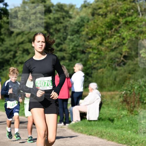 27.09.2026 - 35. Volkslauf durch das schöne Alstertal Dr. Thomas Lammeyer http://msf.ph/oto/10566113 27.09.2026 10:39:18 Laufen 750, 4076 meine-sportfotos.de