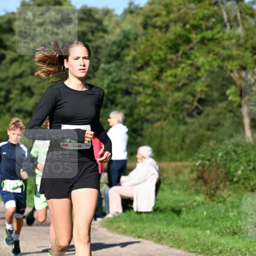 27.09.2026 - 35. Volkslauf durch das schöne Alstertal Dr. Thomas Lammeyer http://msf.ph/oto/10566115 27.09.2026 10:39:18 Laufen  meine-sportfotos.de