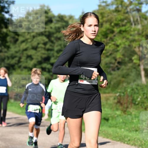 27.09.2026 - 35. Volkslauf durch das schöne Alstertal Dr. Thomas Lammeyer http://msf.ph/oto/10566121 27.09.2026 10:39:19 Laufen 4 meine-sportfotos.de
