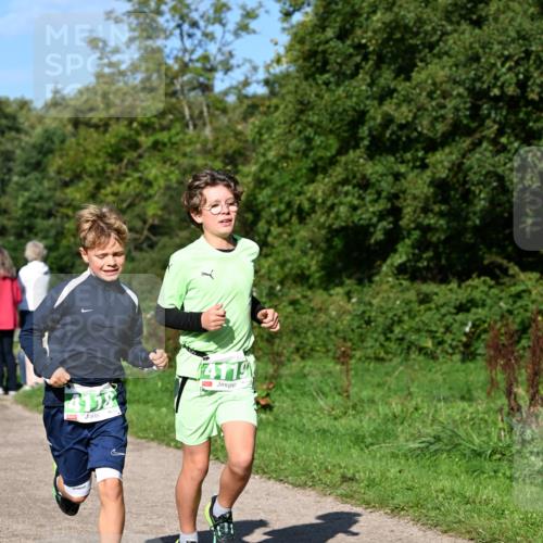 27.09.2026 - 35. Volkslauf durch das schöne Alstertal Dr. Thomas Lammeyer http://msf.ph/oto/10566131 27.09.2026 10:39:21 Laufen 4119 meine-sportfotos.de